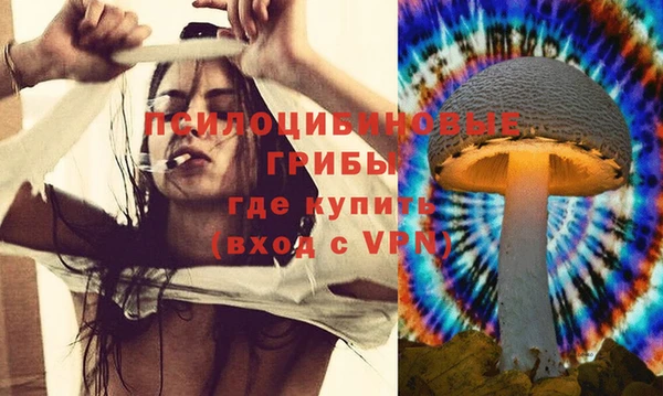 PSILOCYBIN Магадан
